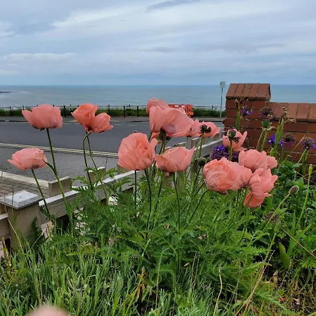Seaview Ground Floor Flat Fast Wifi & Free Parking